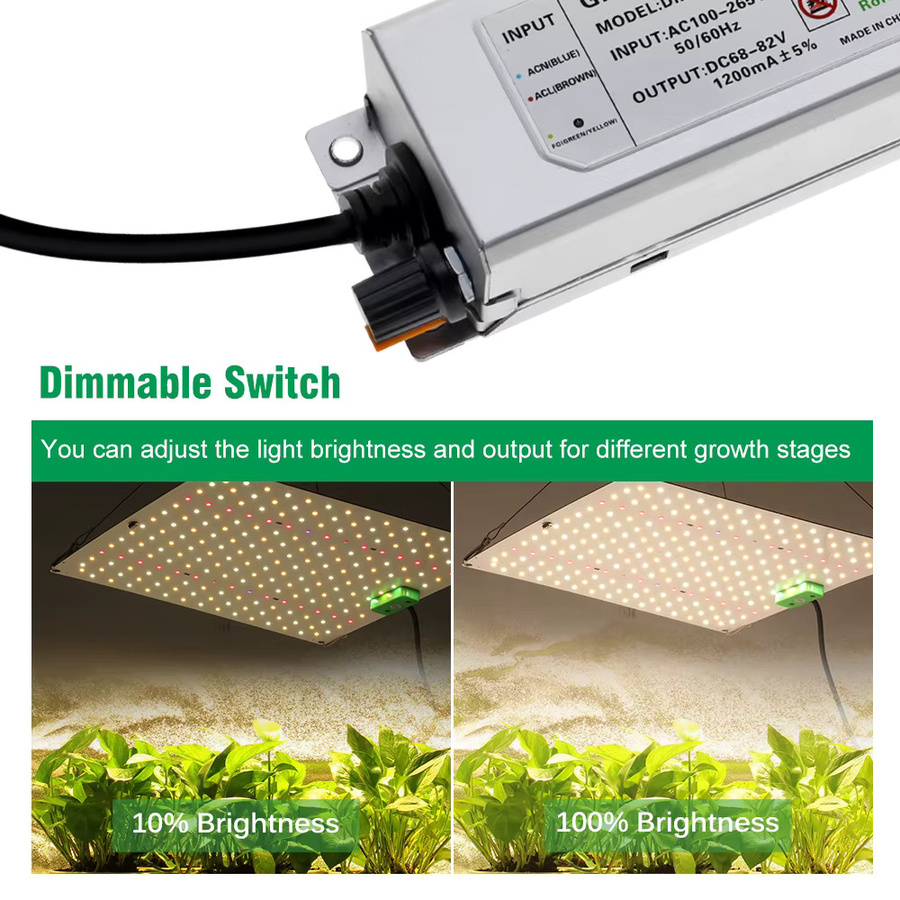 GRAXGROW Vollspektrum LM281B LED Pflanzenlampe mit einstellbarem Spektrum für Hydroponik und Gewächshäuser in allen Wachstumsphasen - Bild 3