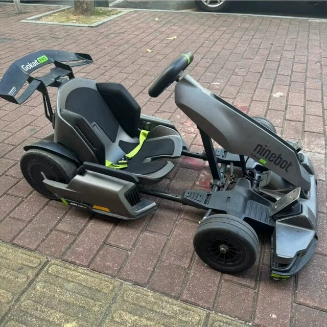 Segway Ninebot Electric Go Kart Pro 2, Rennwagen-Gokart-Gokarts - Bild 1