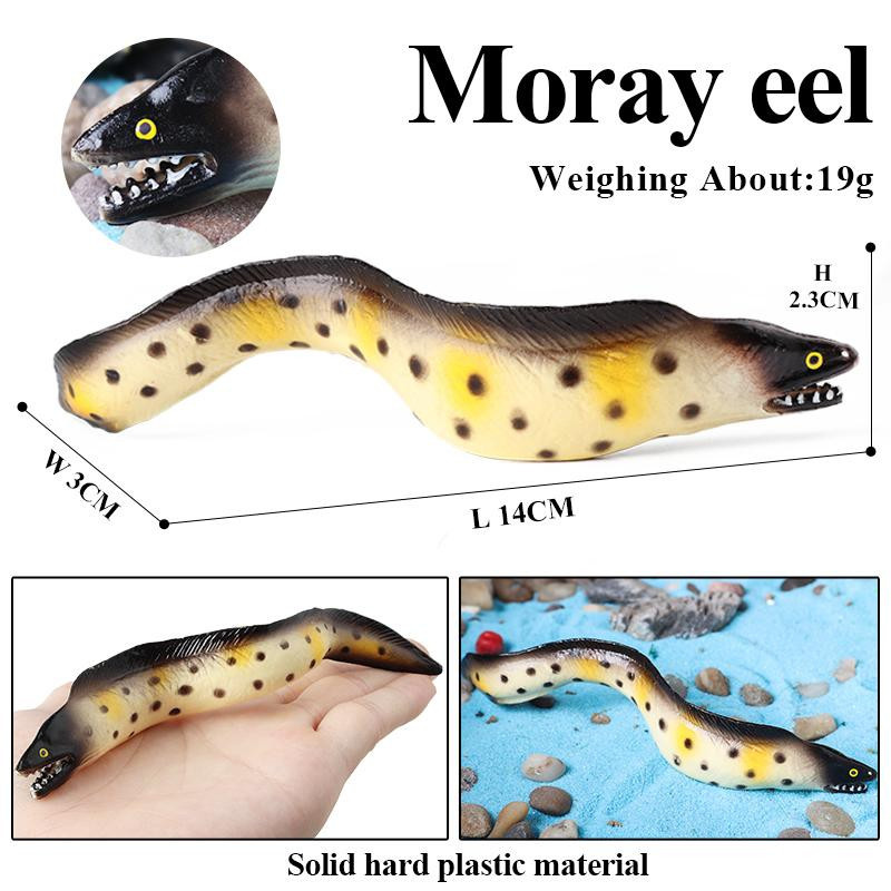 Oenux Muräne Conger Modell Meeresbewohner Actionfiguren Lernspielzeug - Bild 2