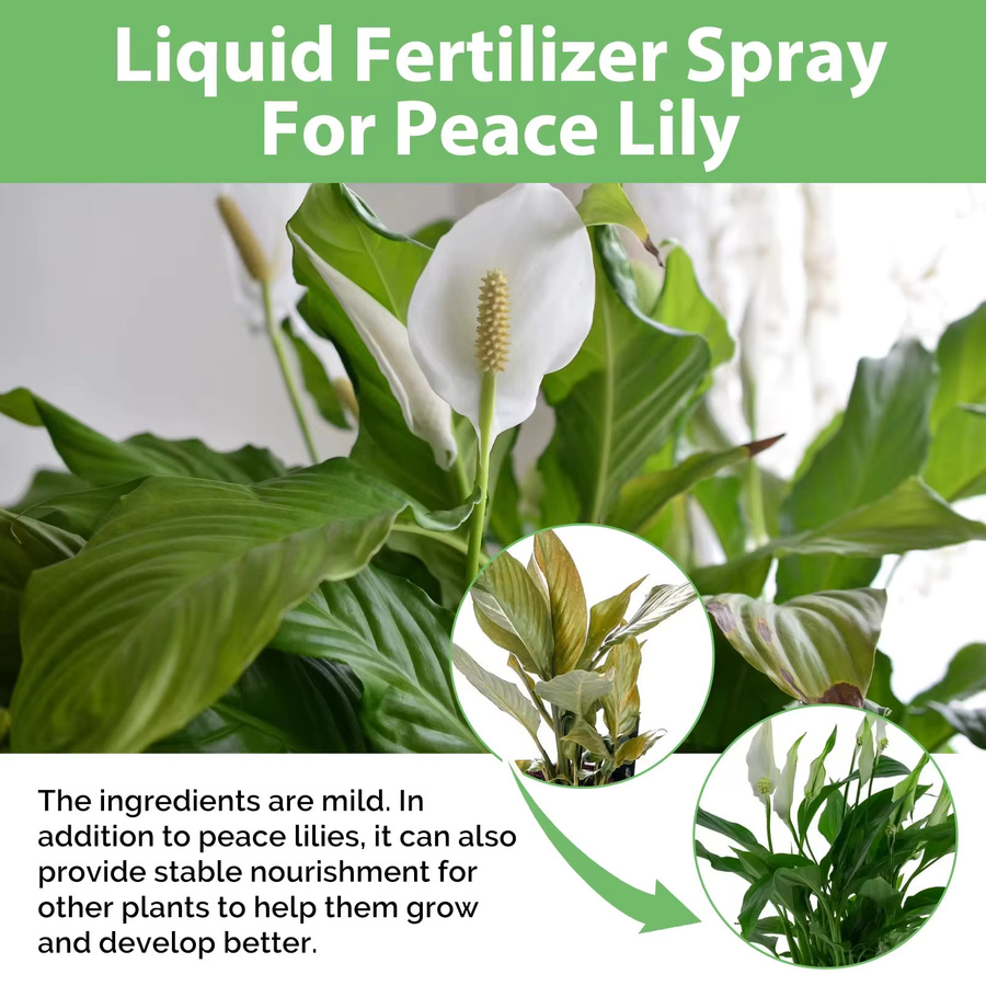 MOONSPRY Rooting Booster Flower Nutrient Solution Flüssigdünger für Hydrokultur-Gartenpflanzen, 100 ml - Bild 3
