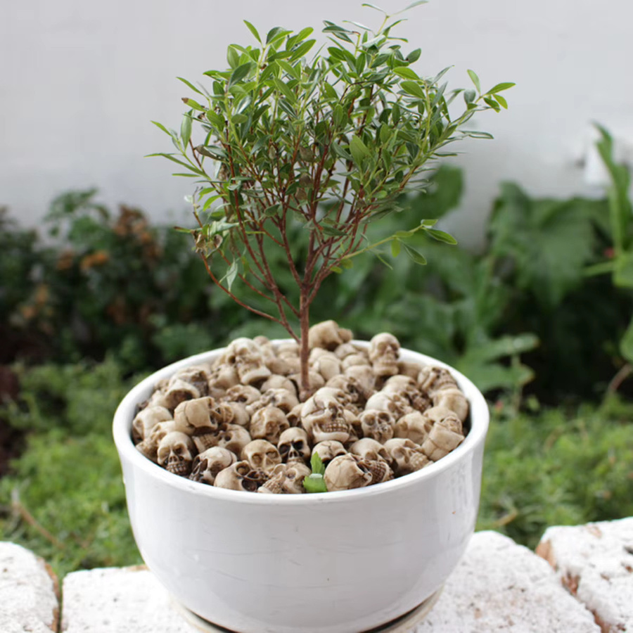 20 Stück Mini-Schädel als dekorative Blumentöpfe in Weiß für Halloween und Gartendekoration - Bild 1