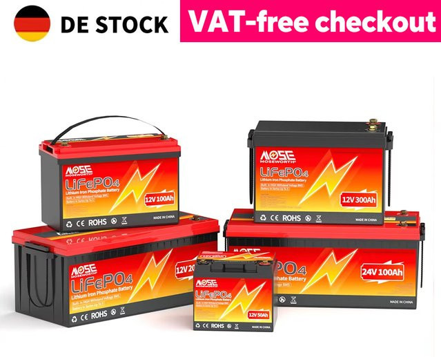 MOSEWORTH LiFePO4 Lithium-Eisenphosphat Batterie mit integriertem BMS in Rot für Wohnmobile und Solaranlagen - Bild 1