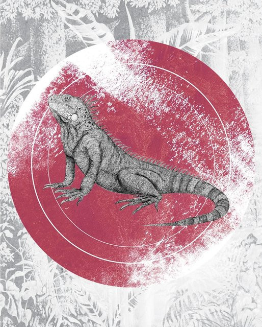 Komar Wandbild Iguana Circle Paper Poster Multicolor B: 40 cm, H: 50 cm - Bild 1