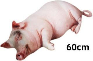 Yiran Health & Beauty Schwein Plüschtier, Kuschelkissen, Rosa/Pink - Bild 1