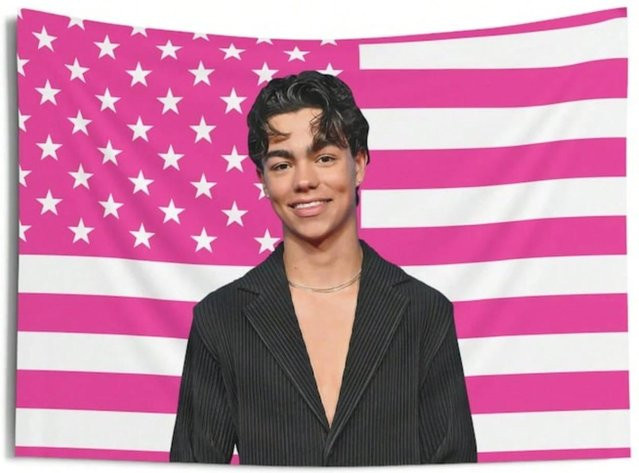 JMG Household Supplies Wandteppich Amerikanische Flagge in Rosa, Stoff Wandbehang für Wohnheim und Mietwohnung, Breite: 40 cm, Breite: 90 cm - Bild 1