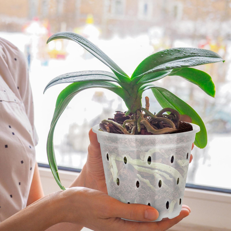 OutsideWorld Atmungsaktiver Orchideentopf aus Kunststoff, transparent, Type 4 - Bild 2