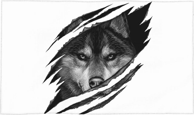 Weiches Baumwollhandtuch mit Wolf RAR Design, schnelltrocknend und atmungsaktiv, Farbe: Weiß, B: 30 cm, H: 60 cm - Bild 1