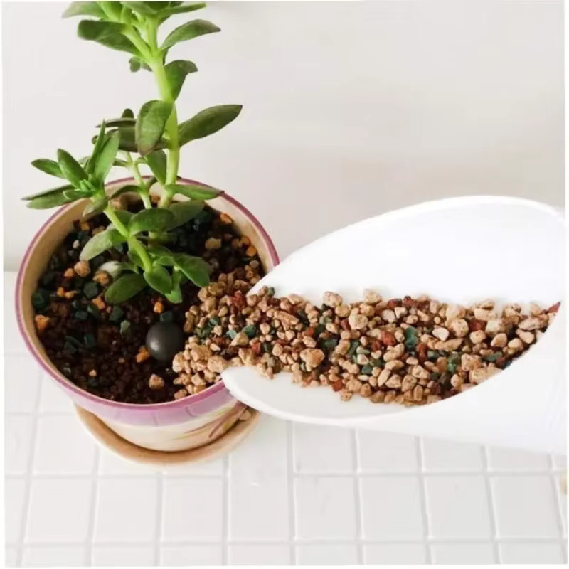 Skeyo Mini-Bodenschaufel aus Kunststoff für fleischige Pflanzen mit Eimer-Zylinder-Design zur Gartenpflege - Bild 3