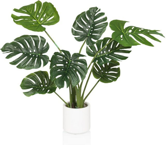 hjh OFFICE Kunstpflanze Monstera in Grün aus Kunststoff - Bild 1