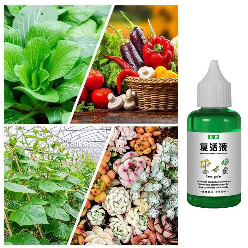 Pflanzenauferstehung Flüssiger Pflanzendünger als Nährstofflösung für Blumen, Obst und Gemüse - Bild 4