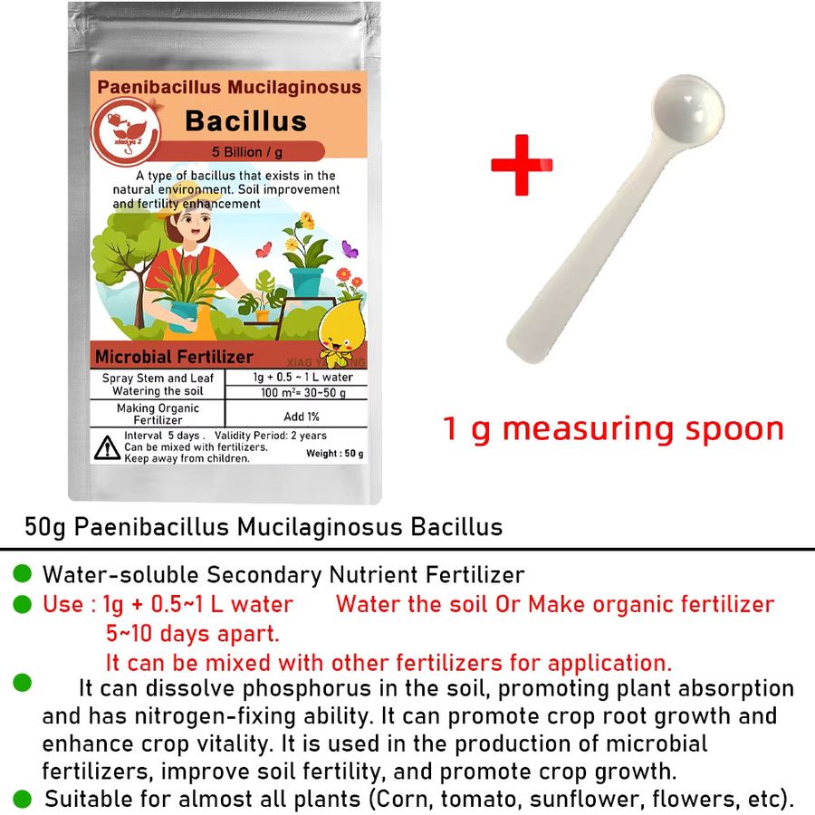 Paenibacillus Mucilaginosus Bio-Mikrobieller Dünger zur Förderung der Bodenfruchtbarkeit und des Pflanzenwachstums, 50 g - Bild 2