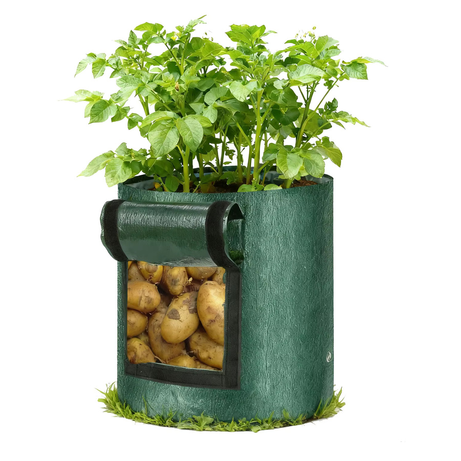 SPONDWILD 12-teiliges Set Gemüse-Wachstumsbeutel aus PE in Grün für den Garten und Outdoor-Anbau - Bild 7
