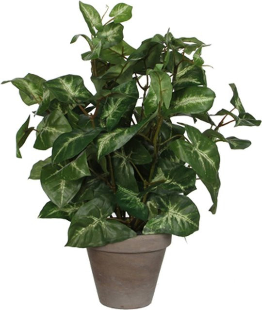 Mica Decorations Kunstpflanze Syngonium im Terrakotta-Blumentopf, Grün, Höhe: 35 cm, Durchmesser: 25 cm - Bild 1