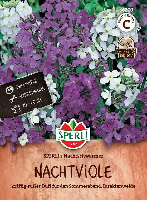 SPERLI Nachtviolen-Samen Nachtschwärmer bunt - Bild 1