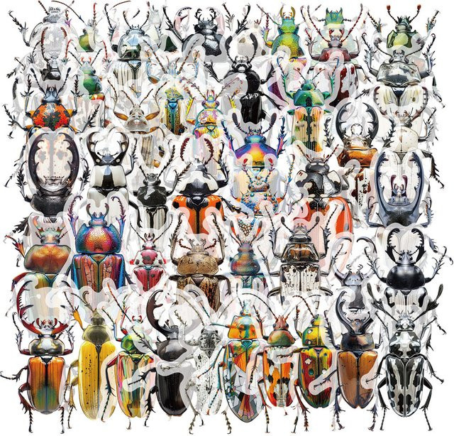 Charile Cartoon-Insekten-Käfer-Aufkleber, transparent, multicolour, 10-teiliges Set - Bild 1