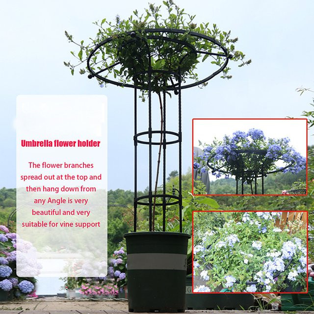 Schwarzes Garten-Rankgitter als Regenschirm-Turm zur Unterstützung von Kletterpflanzen, Höhe: 90 cm, Breite: 25 cm - Bild 1