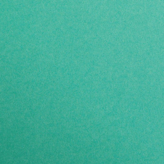 Clairefontaine Tonzeichenpapier in Tannengrün, Breite: 50 cm, Höhe: 70 cm - Bild 1