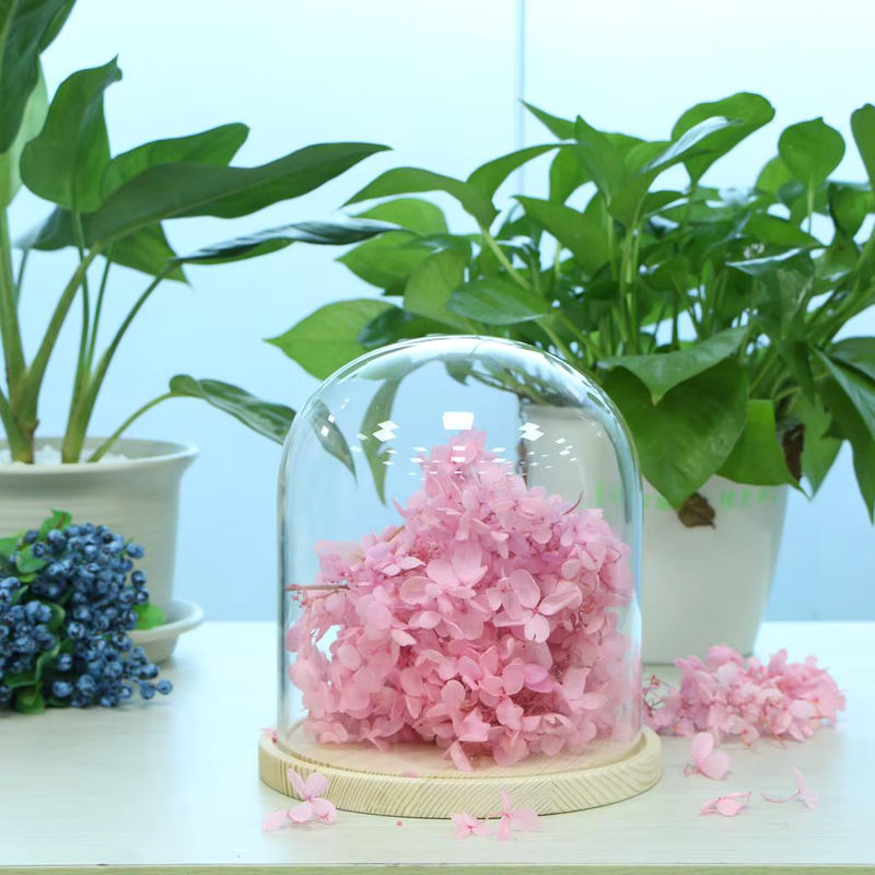Kesoto Glasgefäßkuppel mit braunem Holzsockel, runde Mikro-Landschaftshalter Vase im skandinavischen Design, transparent - Bild 3