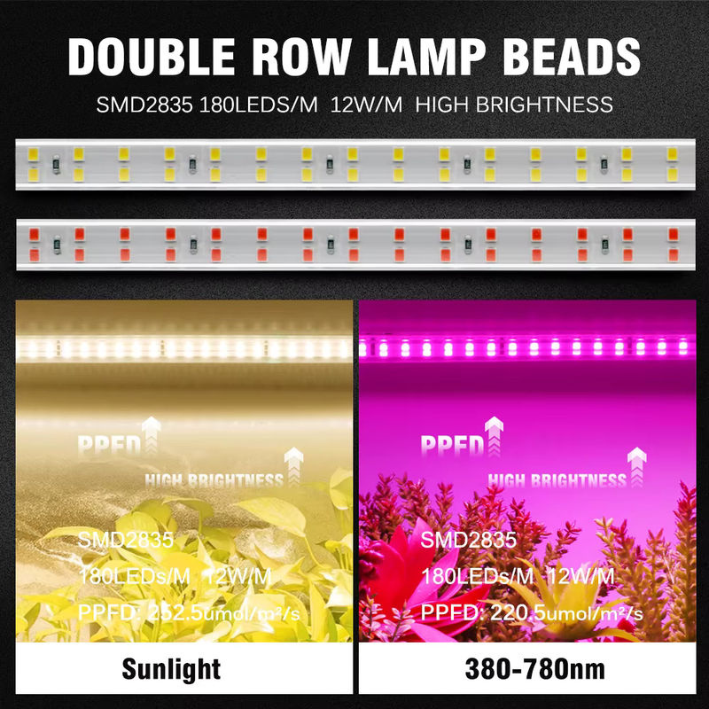 GRAXGROW LED-Pflanzenlichtstreifen mit zweireihigen SMD-Lampenperlen, 12 W/m, wasserdichter Grow Light für Gewächshäuser, Weiß - Bild 5