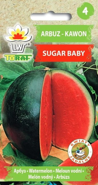 TORAF Baby Zuckerwassermelone Gemüsesamen 1 g - Bild 1