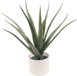 Künstliche Aloe Vera Pflanze von Paperflow in Grün inklusive Kunststoff-Topf, Höhe: 4,5 cm - Bild 1