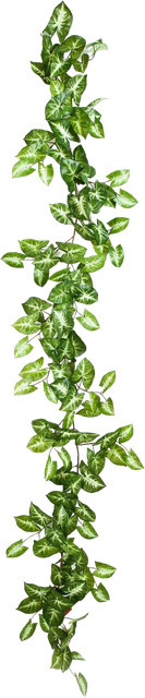 Künstliche Nephthytis Girlande Annabell von Aplanta, Länge: 180 cm - Bild 1