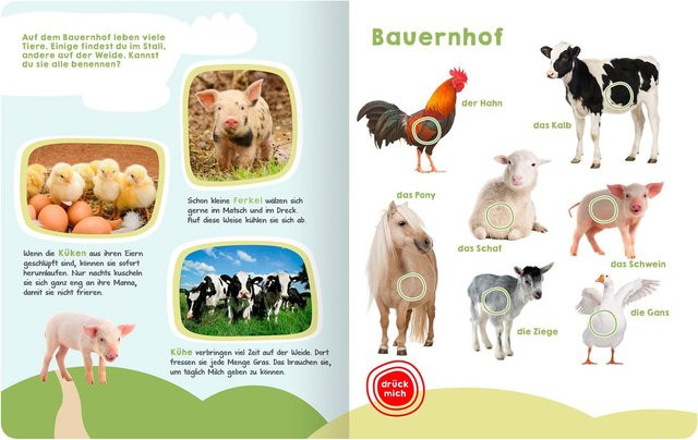 Mein großes Buch der Tiergeräusche, arsEdition, Hardcover - Bild 1