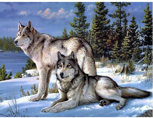 FIYO Diamantmalerei Wolf als Motiv für Kreuzstich und Mosaik, Mehrfarbig, B/H: 50 x 70 cm - Bild 1