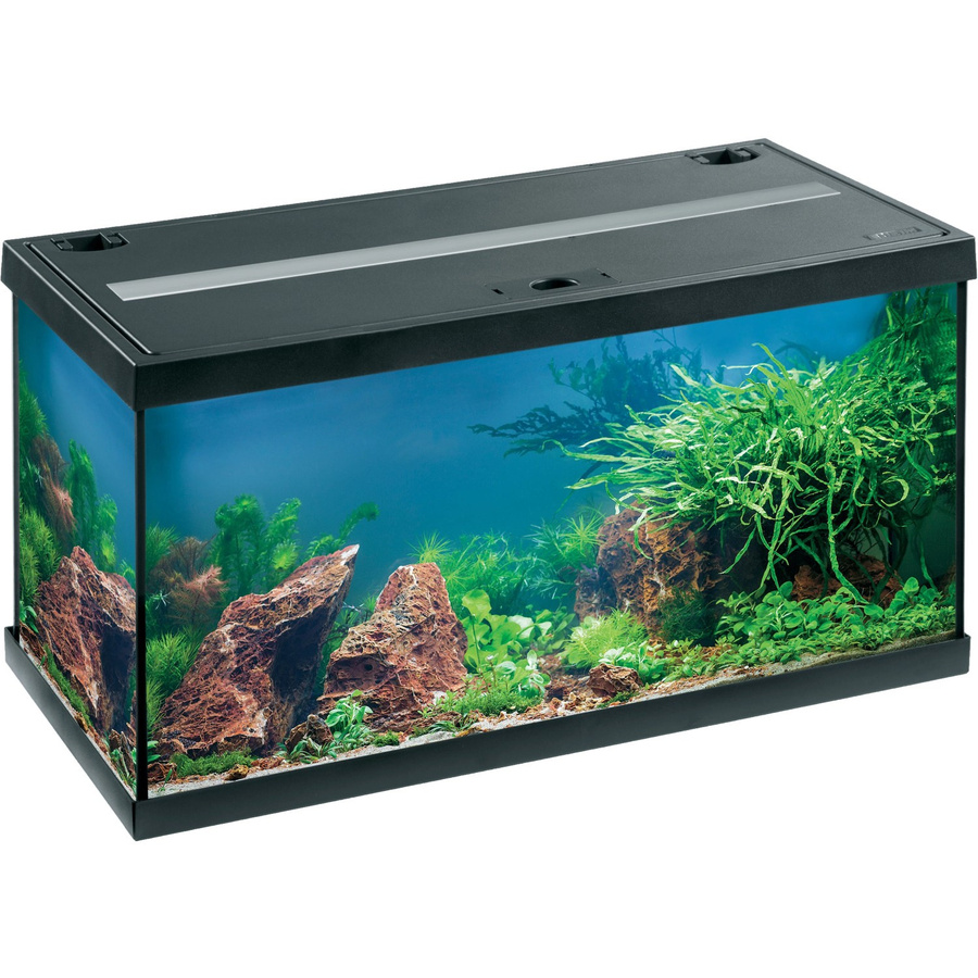 Eheim Aquastar LED Aquarium-Set in Schwarz - Bild 2