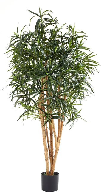 Künstliche Dracaena Reflexa Maelis von Aplanta, Höhe: 180 cm - Bild 1