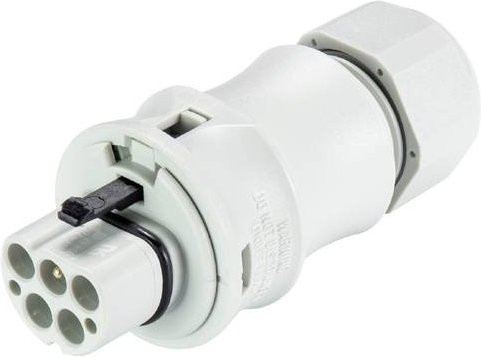 Wieland Electric 96.052.4053.0 Steckverbinder in Grau und Weiß - Bild 1