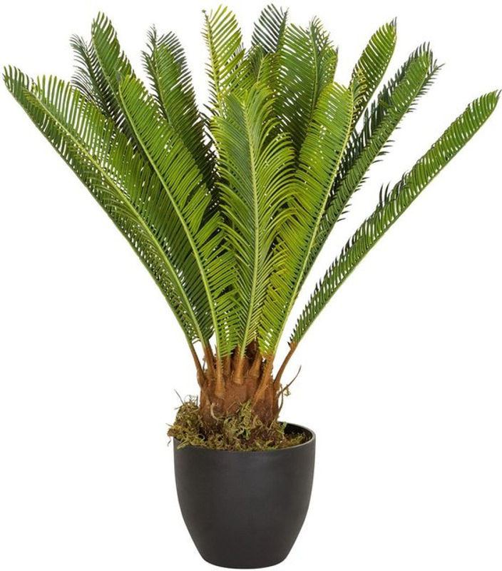 hjh OFFICE Kunstpalme Cycas als grüne Kunstpflanze aus Kunststoff und Textil - Bild 1
