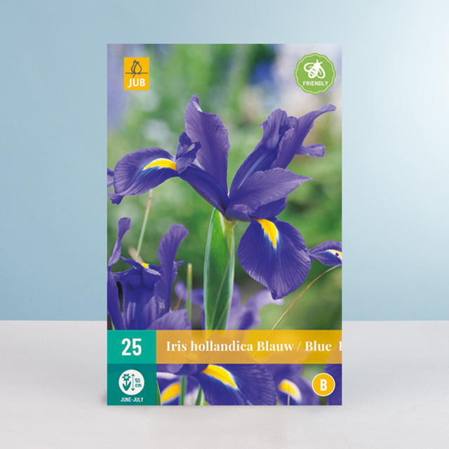 BLUME2000 Netzblatt-Schwertlilie Blau, 25 Zwiebeln - Bild 1