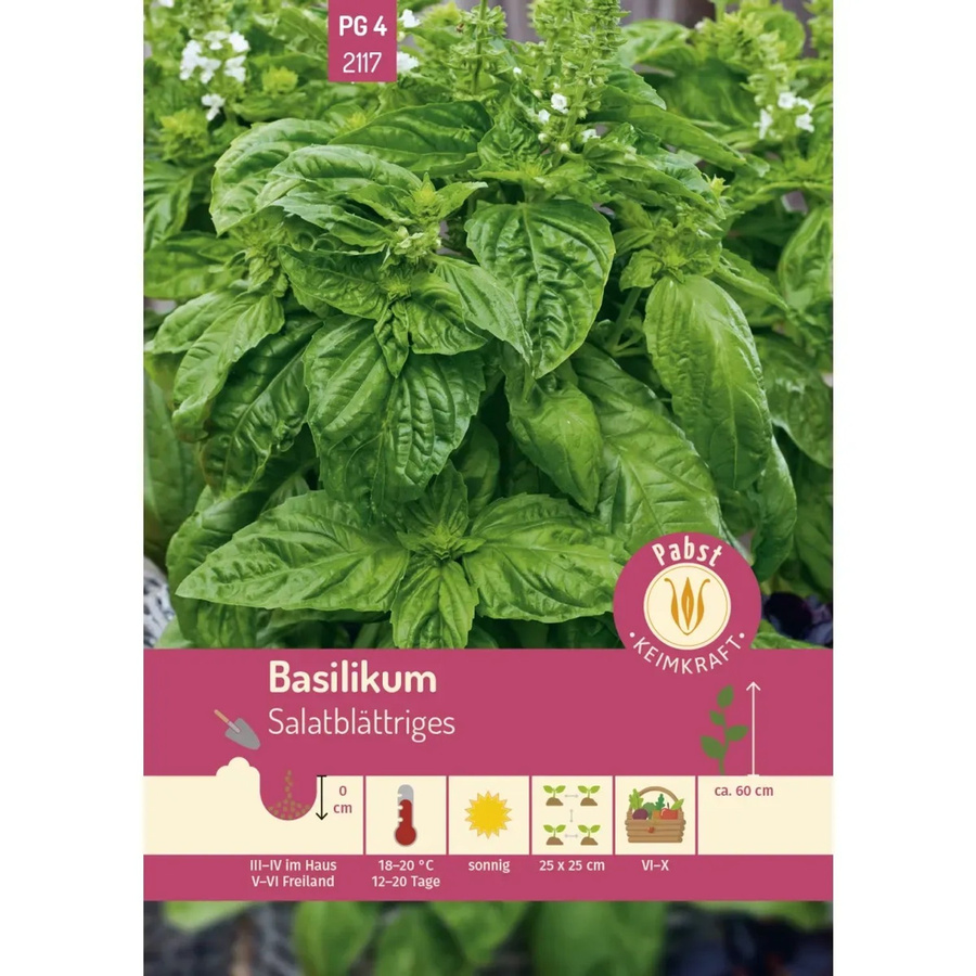 Pabst Keimkraft Basilikum Saatgut salatblättrig und aromatisch - Bild 2