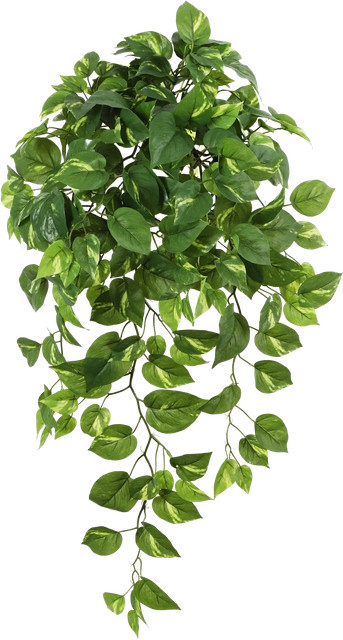 Künstliche Hängepflanze Aplanta Bella in Grün, Höhe: 85 cm - Bild 1