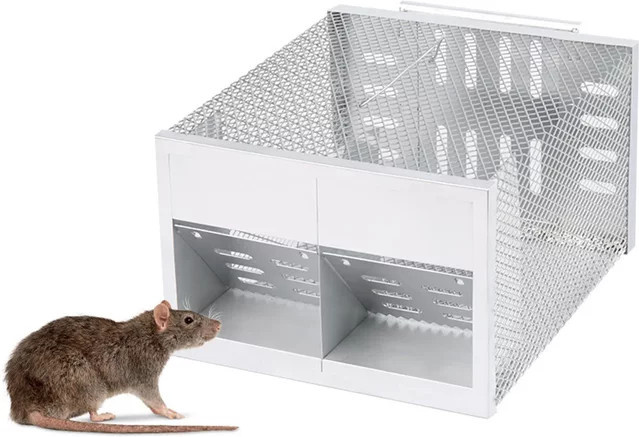 NUOYING Automatische Rattenfalle mit zwei Türen für den Haushalt - Bild 1
