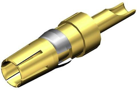 Molex 1731120303 Stiftkontakt in Gold - Bild 1