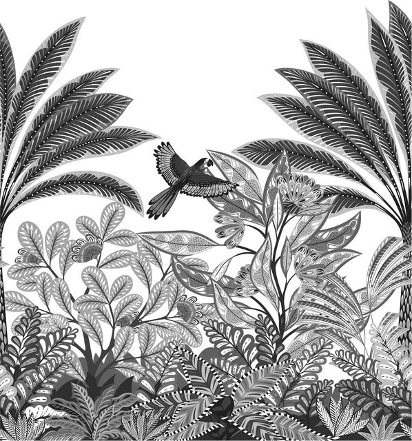 Erismann Fototapete Tropical Dream mit Blattmotiven in Schwarz, Breite: 250 cm, Höhe: 280 cm - Bild 1