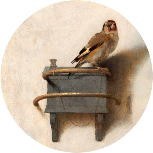 K&L Wall Art Runde Vliestapete Fabritius Vogel Fink Distelfink mehrfarbig matt - Bild 1
