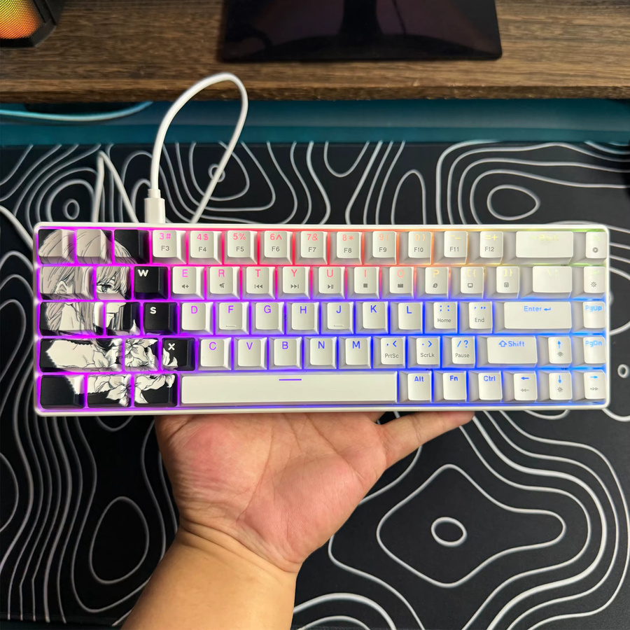 HXSJ Mechanische Gaming-Tastatur in Weiß mit RGB-Hintergrundbeleuchtung, kabelgebundenes Mini-Layout mit 68 Tasten und Anti-Ghosting-Funktion - Bild 2