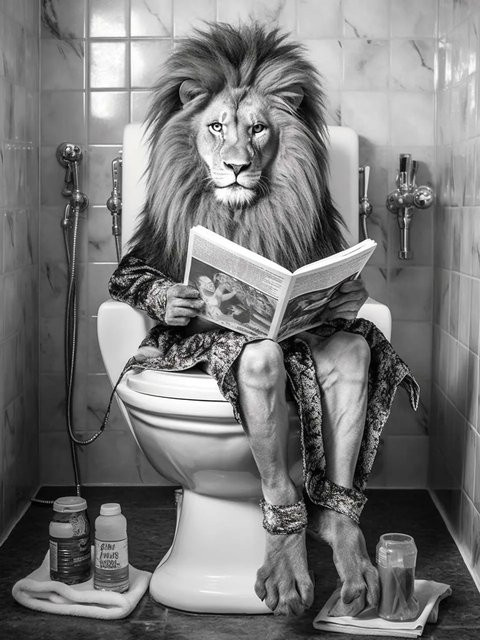 Art Universe Glasbild Lion's Restroom Modernes Wandbild mit Tiermotiv, Breite: 60 cm, Höhe: 80 cm - Bild 1