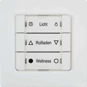 Rademacher Mehrfachwandtaster 9494-1 batteriebetrieben Aufputz Weiß - Bild 1