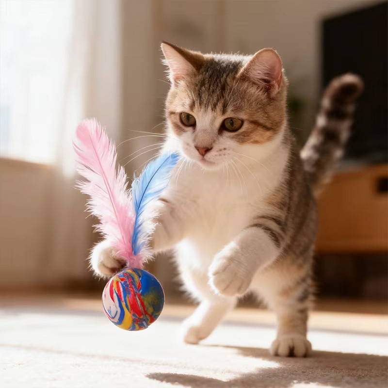 pawstrip Katze Hüpfbälle Spielzeug, 2-teiliges Set, interaktives Feder Spielzeug - Bild 2