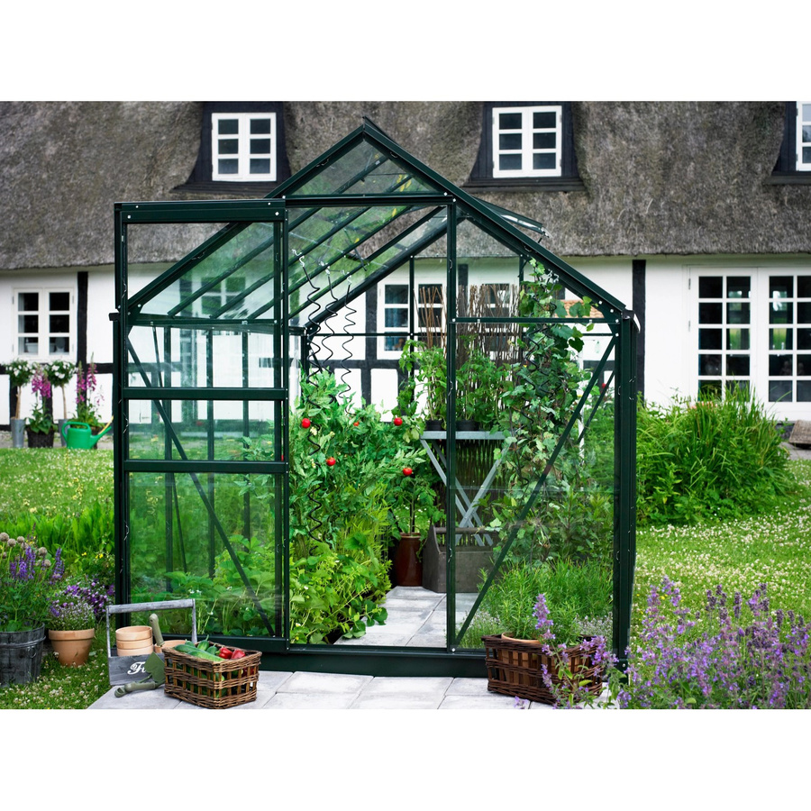 Halls Gewächshaus Popular in Grün mit 6,2 m² Anbaufläche und Blankglas - Bild 2