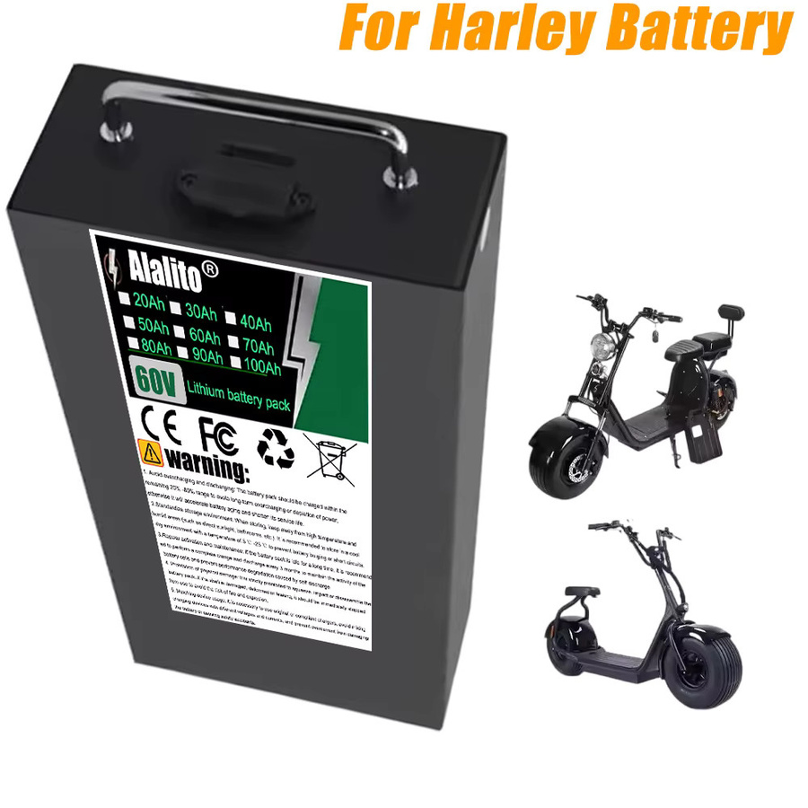 ALalito Li-Ion Akkupack 60V in Schwarz für 250-2000W Motorradbatterien - Bild 4