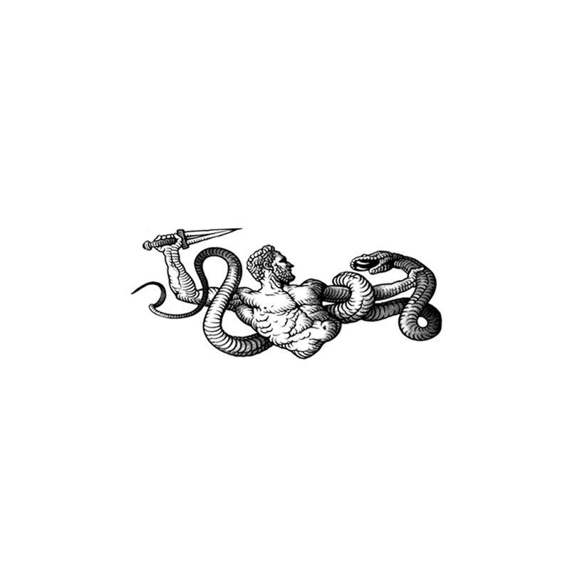 JKCODE TATTOO Kräuter-Tattoo-Aufkleber Schlangenvernichtender Krieger, Herren - Bild 5