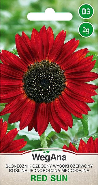 VegAna Sonnenblumen-Zier-Blumensamen Rote Sonne, 2 g - Bild 1