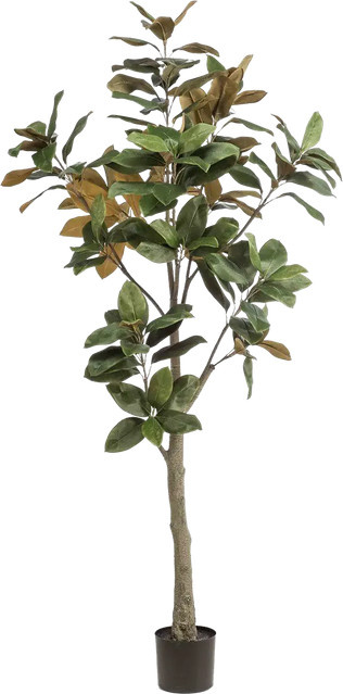 Künstlicher Magnolienbaum Aplanta Anja, Höhe: 200 cm - Bild 1