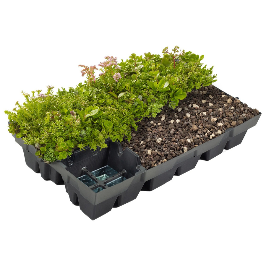 Pflegeleichte Dachbegrünung Plantile Kassette in Grün für 23 m² bis 34 m² - Bild 2