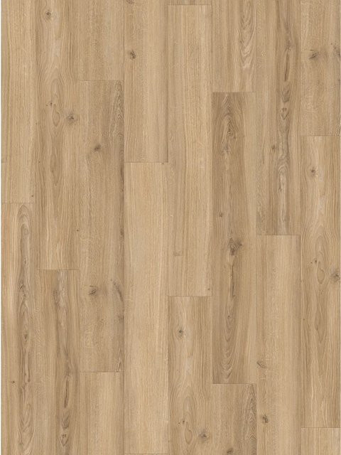 Parador Basic 400 Laminat Eiche Studioline Beige wasserfest 8 mm - Bild 1